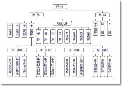 十五絡脈